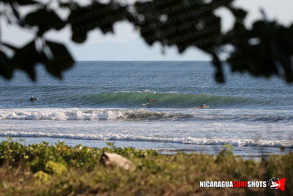 NSR_0056_Panga_Drops_January_16_2022_LR