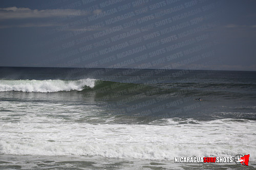 NSR_0222_Panga_Drops_April_11_2021_LR