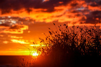 Sunsets