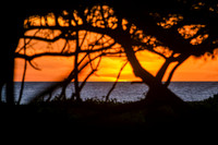 NSR_0408_Panga_Drops_Jan_05_2021_CC