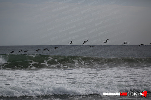 NSR_0791_Colorados_PM_April_13_2021_Logo
