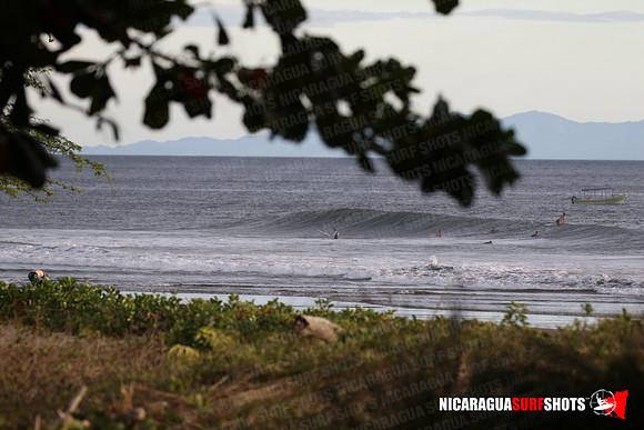 NSR_0127_Panga_Drops_January_26_2022_LR