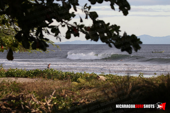 NSR_0101_Panga_Drops_January_26_2022_LR