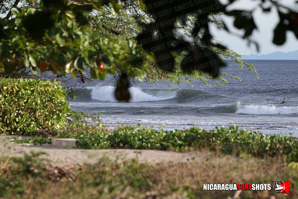 NSR_0043_Panga_Drops_January_26_2022_LR