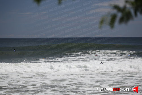 NSR_0180_Panga_Drops_April_11_2021_LR