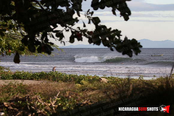 NSR_0099_Panga_Drops_January_26_2022_LR