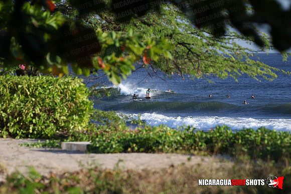 NSR_0019_Panga_Drops_January_19_2022_LR