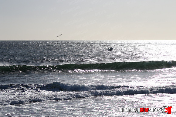 NSR_0037_Panga_Drops_January_23_2022_LR