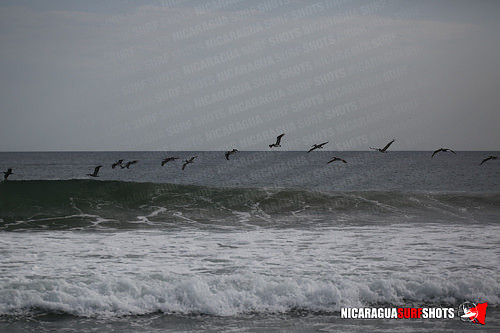 NSR_0789_Colorados_PM_April_13_2021_Logo