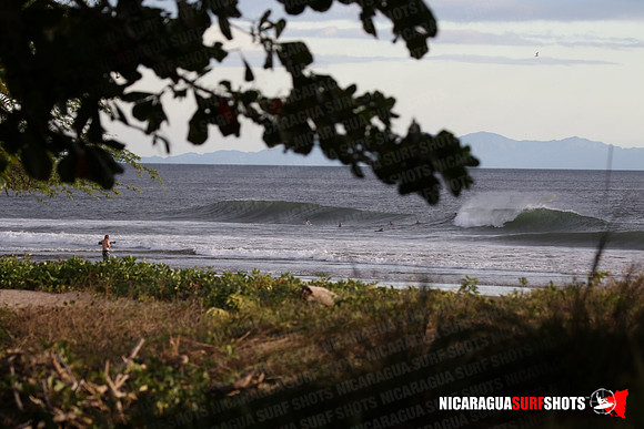 NSR_0111_Panga_Drops_January_26_2022_LR