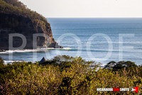 NSR_0006_Manzanillo_Feb_01_2020_CC_Logo_LR
