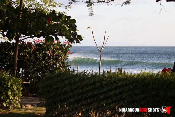 NSR_0016_Panga_Drops_January_18_2022_LR