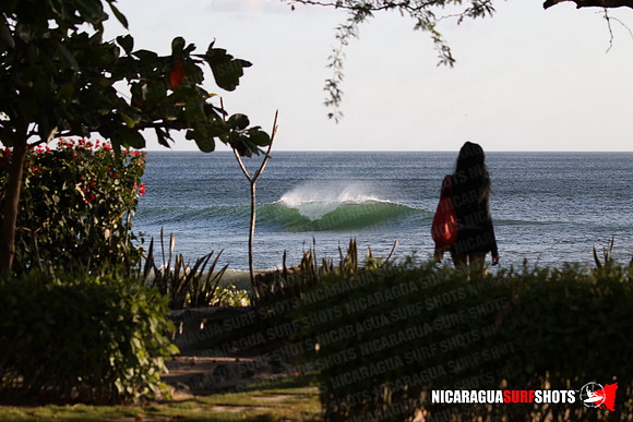 NSR_0003_Panga_Drops_January_18_2022_LR