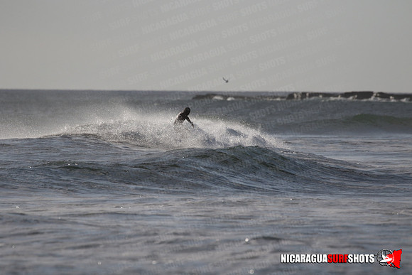 NSR_0143_Panga_Drops_January_23_2022_LR