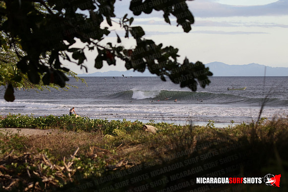 NSR_0089_Panga_Drops_January_26_2022_LR