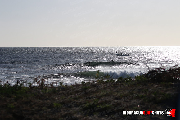 NSR_0012_Panga_Drops_January_23_2022_LR