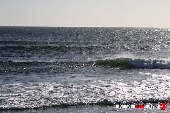 NSR_0032_Panga_Drops_January_23_2022_LR