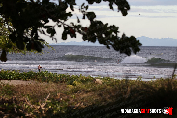 NSR_0115_Panga_Drops_January_26_2022_LR