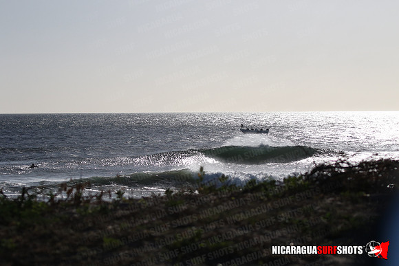 NSR_0021_Panga_Drops_January_23_2022_LR