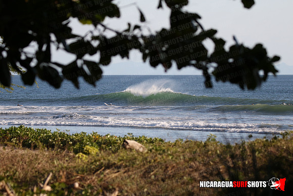 NSR_0095_Panga_Drops_January_16_2022_LR
