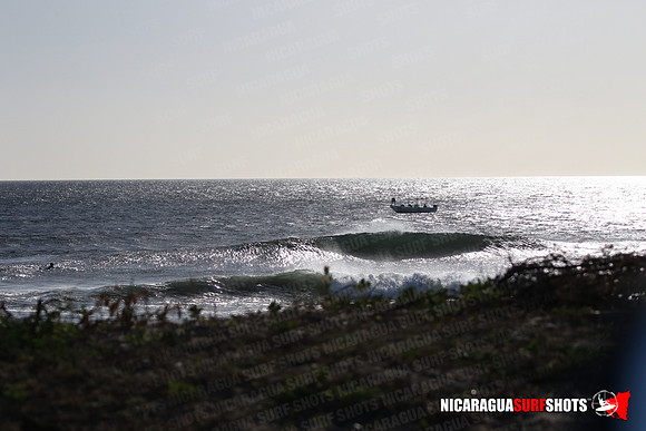 NSR_0020_Panga_Drops_January_23_2022_LR