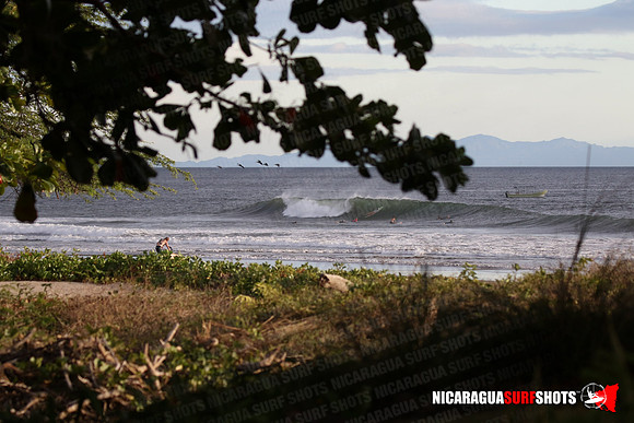 NSR_0091_Panga_Drops_January_26_2022_LR