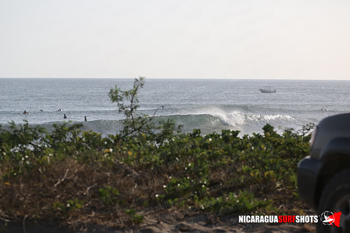 NSR_0001_Panga_Drops_April_12_2021_LR