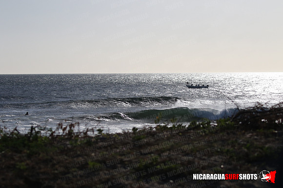 NSR_0007_Panga_Drops_January_23_2022_LR
