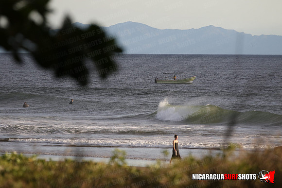 NSR_0004_Panga_Drops_January_26_2022_LR