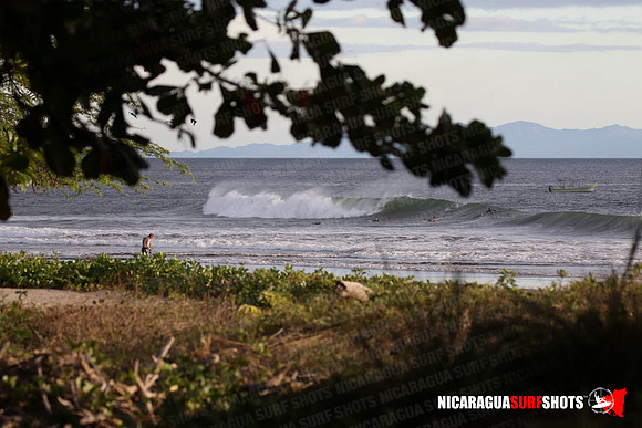 NSR_0103_Panga_Drops_January_26_2022_LR