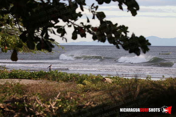NSR_0123_Panga_Drops_January_26_2022_LR