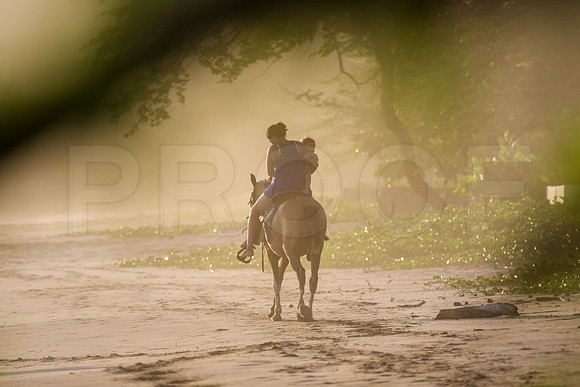 NSS_0232_Colorados_PM_Sept_01_2019_CC