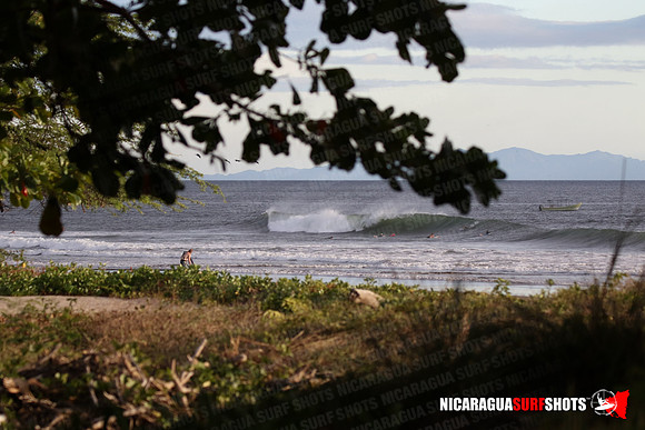 NSR_0098_Panga_Drops_January_26_2022_LR