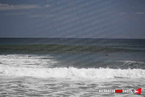 NSR_0213_Panga_Drops_April_11_2021_LR