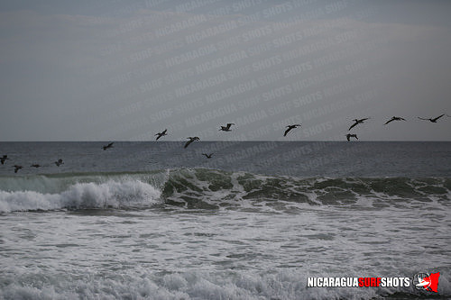 NSR_0795_Colorados_PM_April_13_2021_Logo