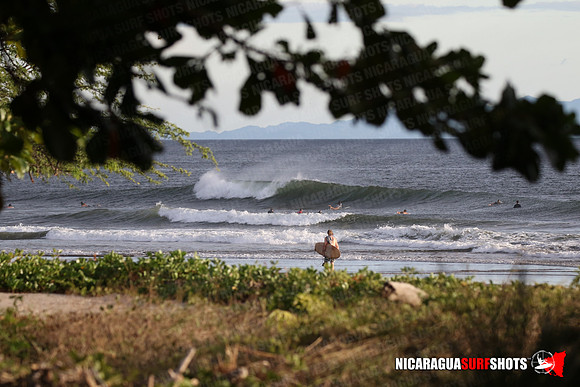 NSR_0059_Panga_Drops_January_26_2022_LR