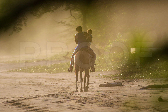 NSS_0215_Colorados_PM_Sept_01_2019_CC