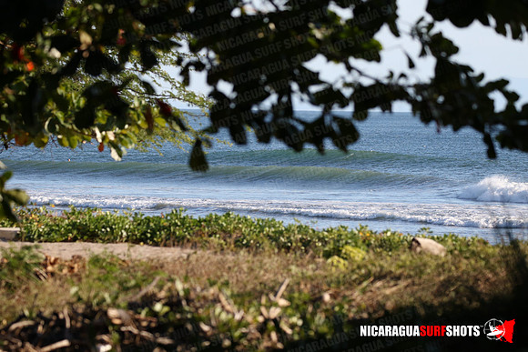 NSR_0010_Panga_Drops_January_16_2022_LR