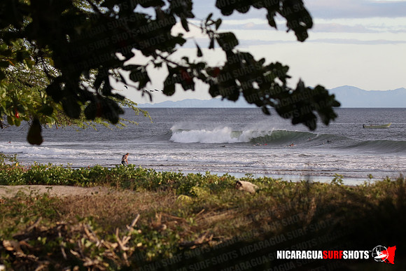 NSR_0100_Panga_Drops_January_26_2022_LR