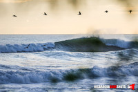 NSR_0898_Panga_Drops_September_14_2021_CC_Logo