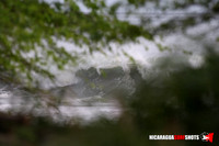 NSR_0006_Colorados_September_26_2021_LR