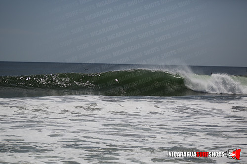 NSR_0638_Panga_Drops_April_11_2021_LR