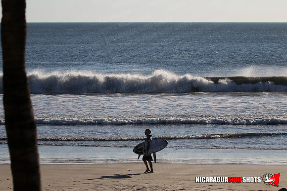 NSR_0152_Panga_Drops_January_16_2022_LR