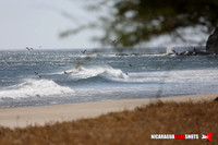 NSR_0011_Panga_Drops_Mar_08_2019_LR