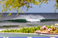NSR_0570_Panga_DropsMar_15_2020_CC