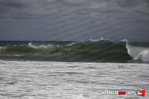 NSR_0556_Panga_Drops_April_11_2021_LR