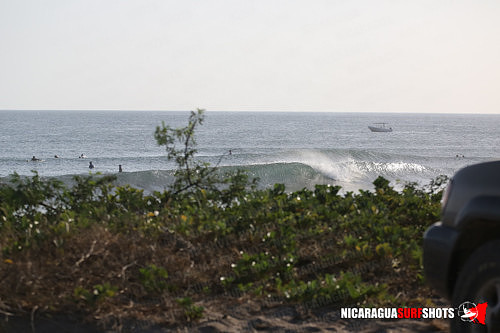 NSR_0002_Panga_Drops_April_12_2021_LR