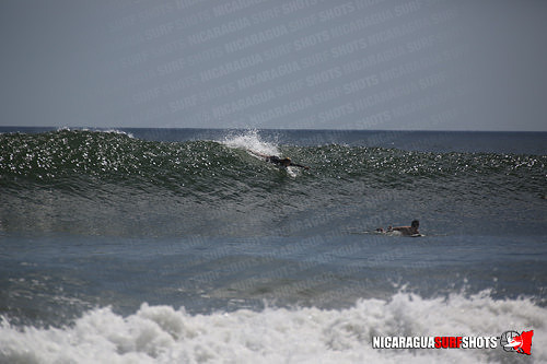 NSR_0686_Panga_Drops_April_11_2021_LR