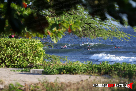 NSR_0012_Panga_Drops_January_19_2022_LR