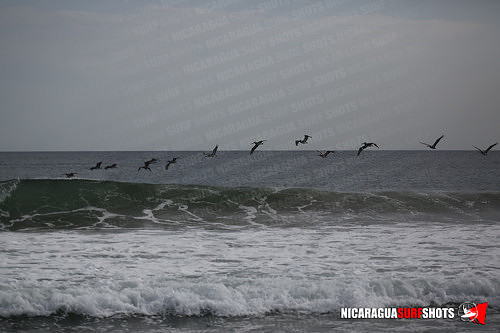 NSR_0790_Colorados_PM_April_13_2021_Logo